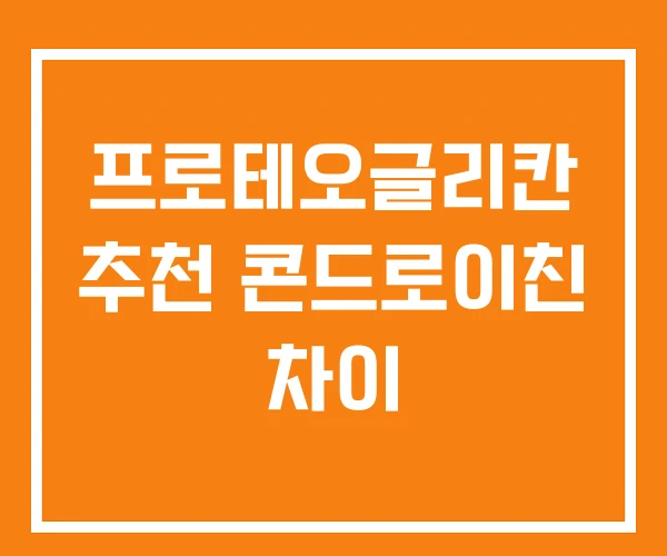 프로테오글리칸 추천 콘드로이친 차이