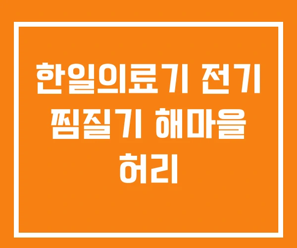 한일의료기 전기 찜질기 해마을 허리