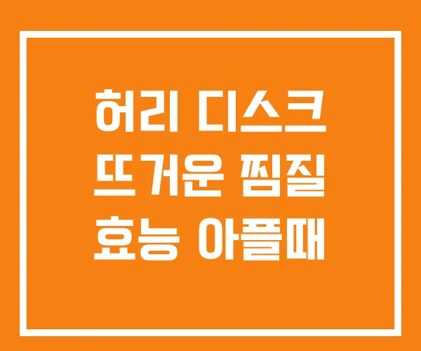 허리 디스크 뜨거운 찜질 효능 아플때