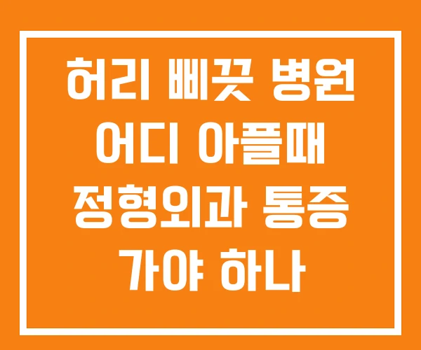 허리 삐끗 병원 어디 아플때 정형외과 통증 가야 하나