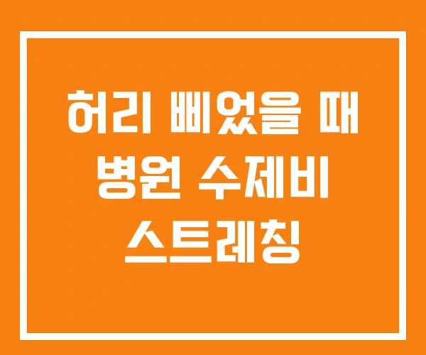허리 삐었을 때 병원 수제비 스트레칭