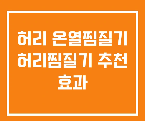허리 온열찜질기 허리찜질기 추천 효과 허리 온열찜질기 허리찜질기 추천 효과