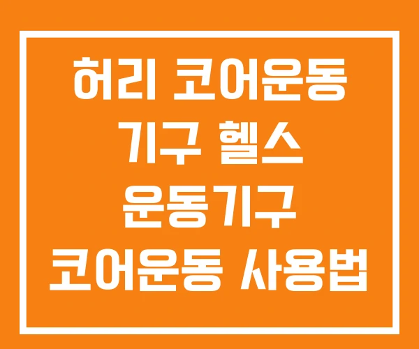 허리 코어운동 기구 헬스 운동기구 코어운동 사용법 허리 코어운동 기구 헬스 운동기구 코어운동 사용법