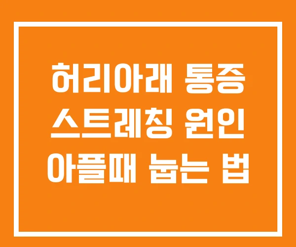 허리아래 통증 스트레칭 원인 아플때 눕는 법 허리아래 통증 스트레칭 원인 아플때 눕는 법