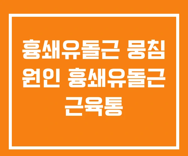 흉쇄유돌근 뭉침 원인 흉쇄유돌근 근육통