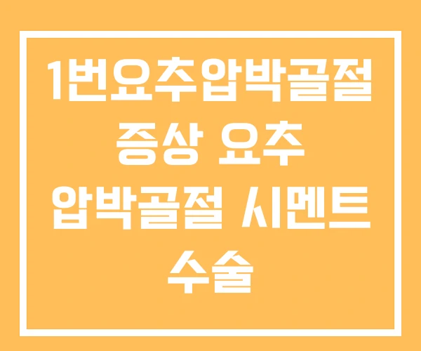 1번요추압박골절 증상 요추 압박골절 시멘트 수술 1번요추압박골절 증상 요추 압박골절 시멘트 수술