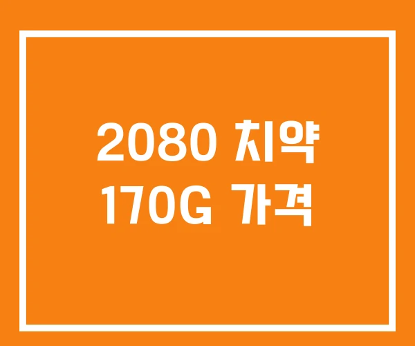 2080 치약 170G 가격