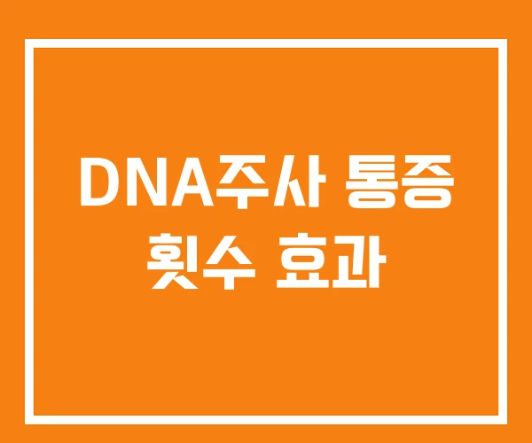DNA주사 통증 횟수 효과 DNA주사 통증 횟수 효과