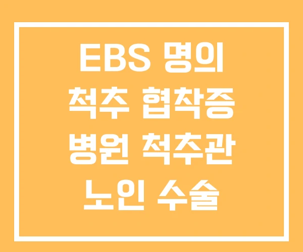 EBS 명의 척추 협착증 병원 척추관 노인 수술 EBS 명의 척추 협착증 병원 척추관 노인 수술