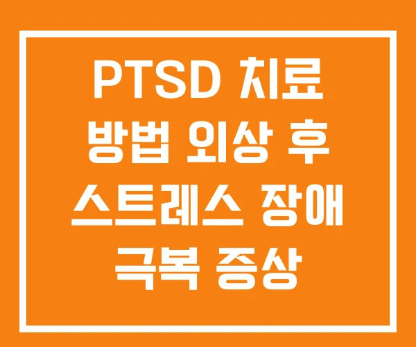 PTSD 치료 방법 외상 후 스트레스 장애 극복 증상 PTSD 치료 방법 외상 후 스트레스 장애 극복 증상
