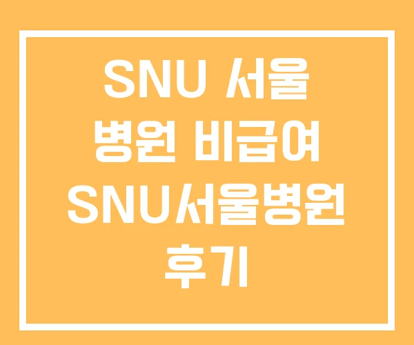 SNU 서울 병원 비급여 SNU서울병원 후기 SNU 서울 병원 비급여 SNU서울병원 후기