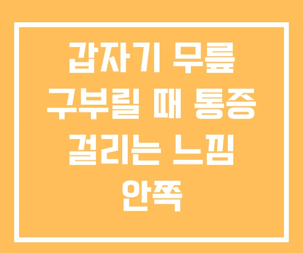 갑자기 무릎 구부릴 때 통증 걸리는 느낌 안쪽 갑자기 무릎 구부릴 때 통증 걸리는 느낌 안쪽