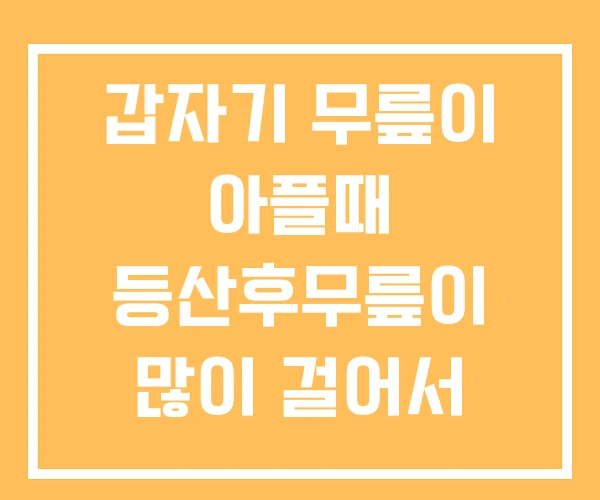 갑자기 무릎이 아플때 등산후무릎이 많이 걸어서 갑자기 무릎이 아플때 등산후무릎이 많이 걸어서