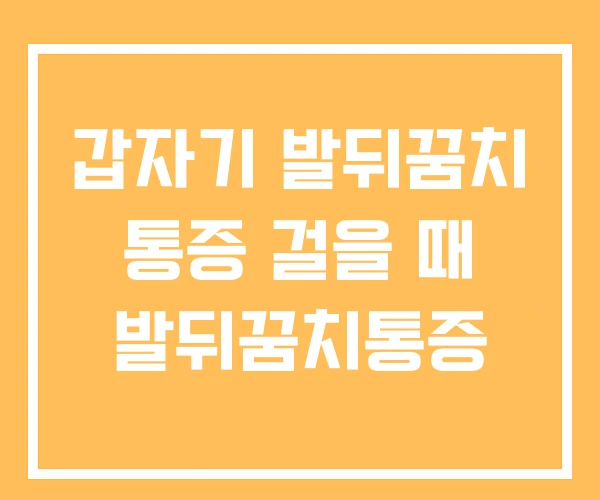 갑자기 발뒤꿈치 통증 걸을 때 발뒤꿈치통증 갑자기 발뒤꿈치 통증 걸을 때 발뒤꿈치통증