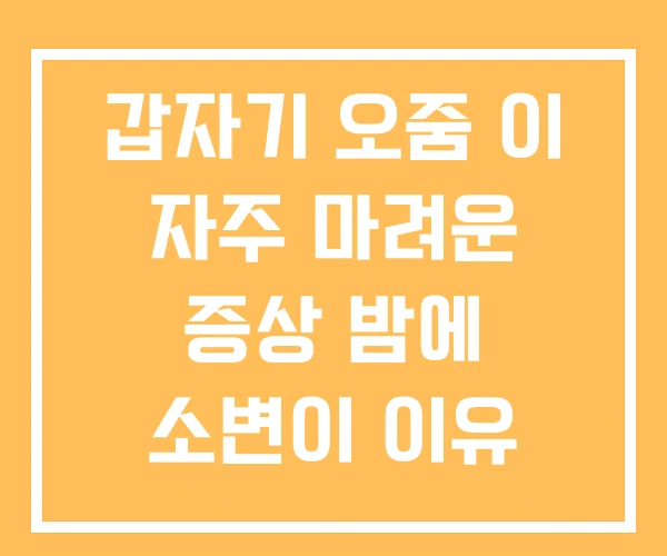 갑자기 오줌 이 자주 마려운 증상 밤에 소변이 이유 소변 갑자기 오줌 이 자주 마려운 증상 밤에 소변이 이유 소변