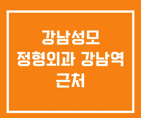 강남성모 정형외과 강남역 근처