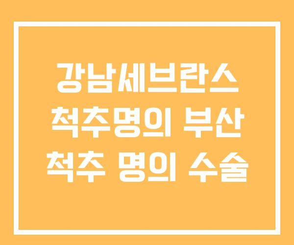강남세브란스 척추명의 부산 척추 명의 수술 강남세브란스 척추명의 부산 척추 명의 수술
