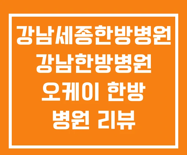강남세종한방병원 강남한방병원 오케이 한방 병원 리뷰 강남세종한방병원 강남한방병원 오케이 한방 병원 리뷰