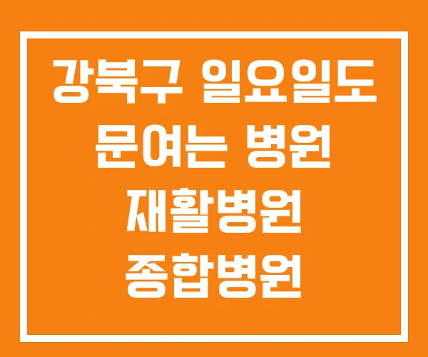 강북구 일요일도 문여는 병원 재활병원 종합병원 강북구 일요일도 문여는 병원 재활병원 종합병원
