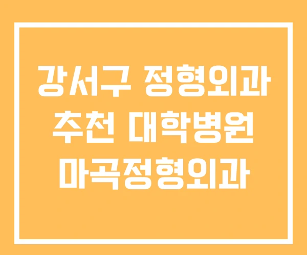 강서구 정형외과 추천 대학병원 마곡정형외과 강서구 정형외과 추천 대학병원 마곡정형외과