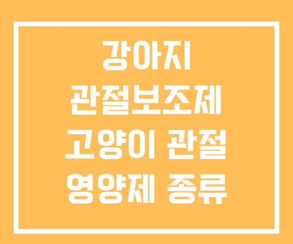 강아지 관절보조제 고양이 관절 영양제 종류