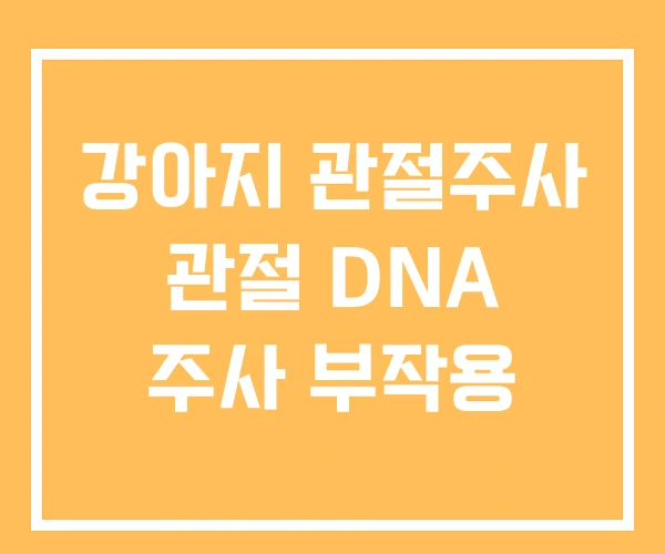강아지 관절주사 관절 DNA 주사 부작용