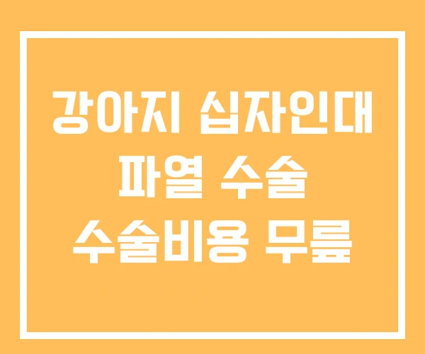 강아지 십자인대 파열 수술 수술비용 무릎 강아지 십자인대 파열 수술 수술비용 무릎