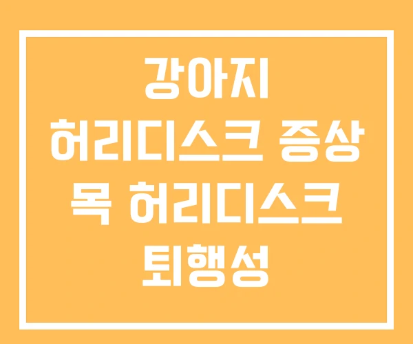 강아지 허리디스크 증상 목 허리디스크 퇴행성 강아지 허리디스크 증상 목 허리디스크 퇴행성