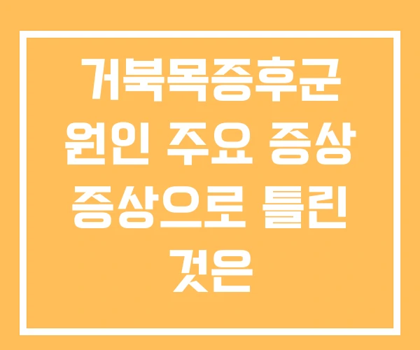 거북목증후군 원인 주요 증상 증상으로 틀린 것은 거북목증후군 원인 주요 증상 증상으로 틀린 것은
