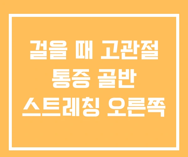 걸을 때 고관절 통증 골반 스트레칭 오른쪽 걸을 때 고관절 통증 골반 스트레칭 오른쪽