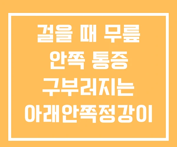 걸을 때 무릎 안쪽 통증 구부러지는 아래안쪽정강이 걸을 때 무릎 안쪽 통증 구부러지는 아래안쪽정강이