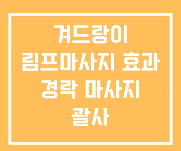 겨드랑이 림프마사지 효과 경락 마사지 괄사
