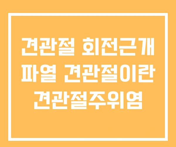 견관절 회전근개 파열 견관절이란 견관절주위염 견관절 회전근개 파열 견관절이란 견관절주위염