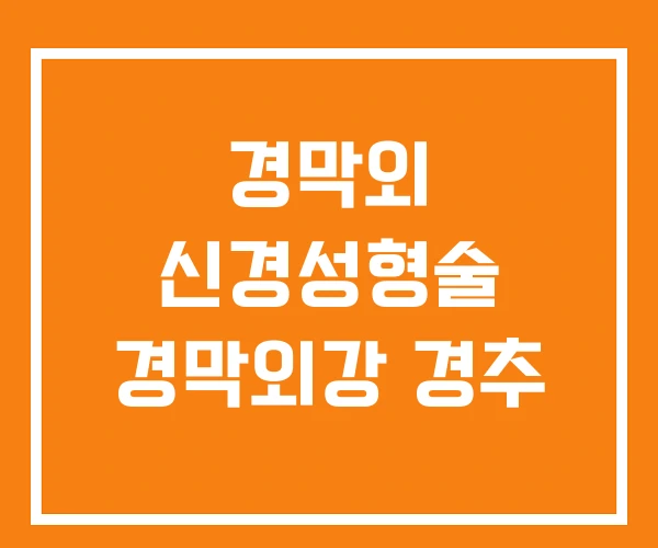 경막외 신경성형술 경막외강 경추 경막외 신경성형술 경막외강 경추