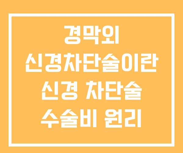 경막외 신경차단술이란 신경 차단술 수술비 원리 경막외 신경차단술이란 신경 차단술 수술비 원리