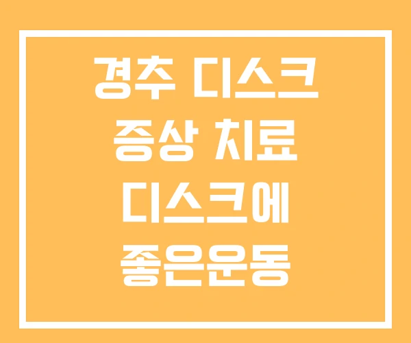 경추 디스크 증상 치료 디스크에 좋은운동