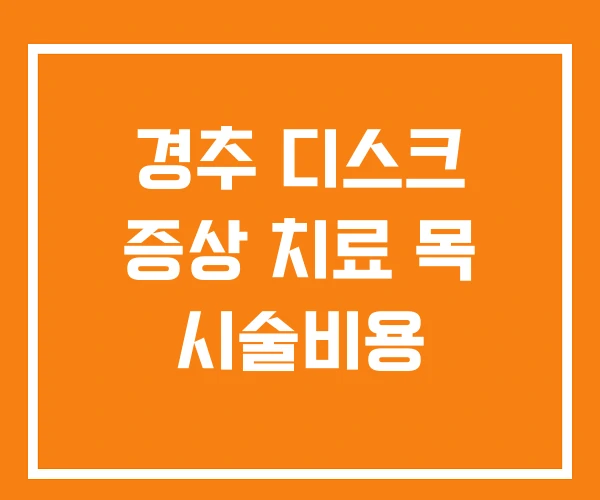 경추 디스크 증상 치료 목 시술비용 경추 디스크 증상 치료 목 시술비용
