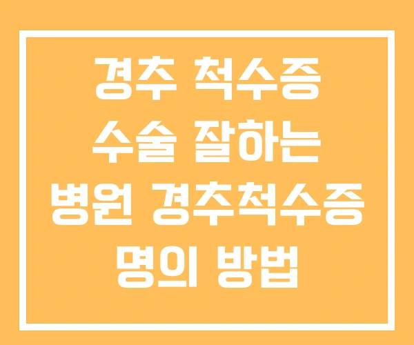 경추 척수증 수술 잘하는 병원 경추척수증 명의 방법 경추 척수증 수술 잘하는 병원 경추척수증 명의 방법