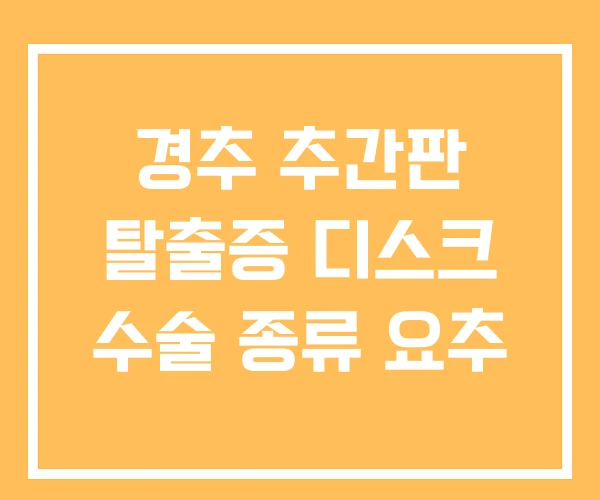 경추 추간판 탈출증 디스크 수술 종류 요추 경추 추간판 탈출증 디스크 수술 종류 요추