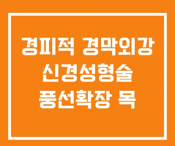 경피적 경막외강 신경성형술 풍선확장 목