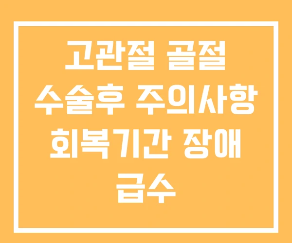 고관절 골절 수술후 주의사항 회복기간 장애 급수 고관절 골절 수술후 주의사항 회복기간 장애 급수