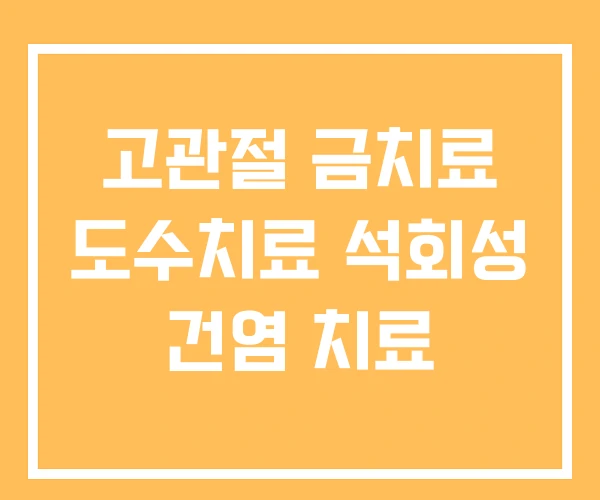 고관절 금치료 도수치료 석회성 건염 치료 고관절 금치료 도수치료 석회성 건염 치료