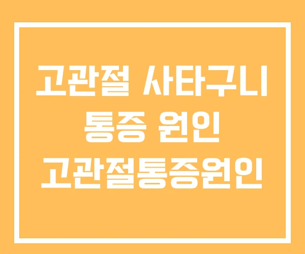 고관절 사타구니 통증 원인 고관절통증원인 고관절 사타구니 통증 원인 고관절통증원인
