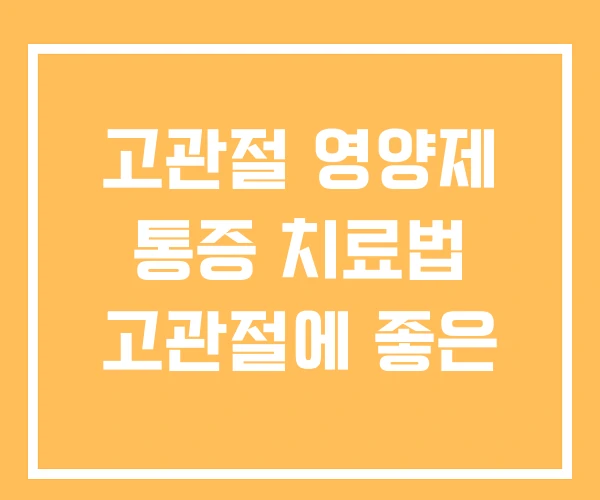 고관절 영양제 통증 치료법 고관절에 좋은 고관절 영양제 통증 치료법 고관절에 좋은