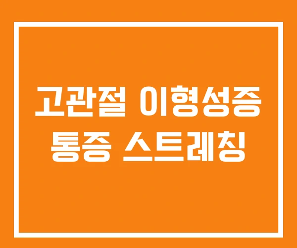 고관절 이형성증 통증 스트레칭