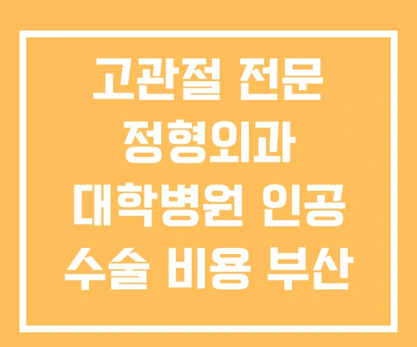 고관절 전문 정형외과 대학병원 인공 수술 비용 부산 병원 고관절 전문 정형외과 대학병원 인공 수술 비용 부산 병원