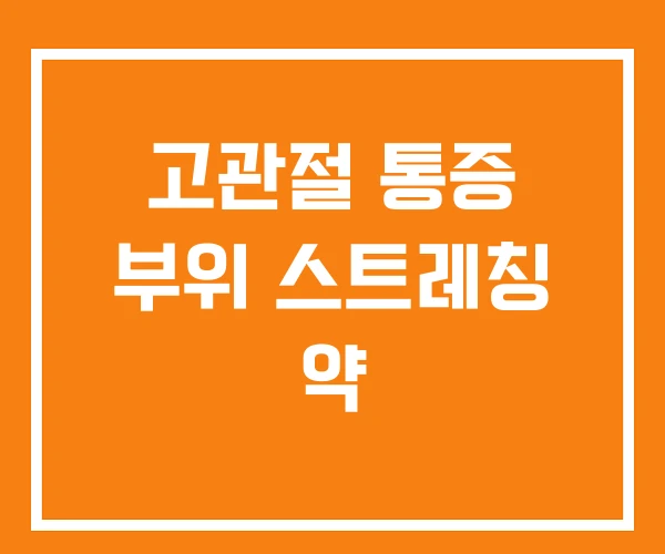 고관절 통증 부위 스트레칭 약 고관절 통증 부위 스트레칭 약