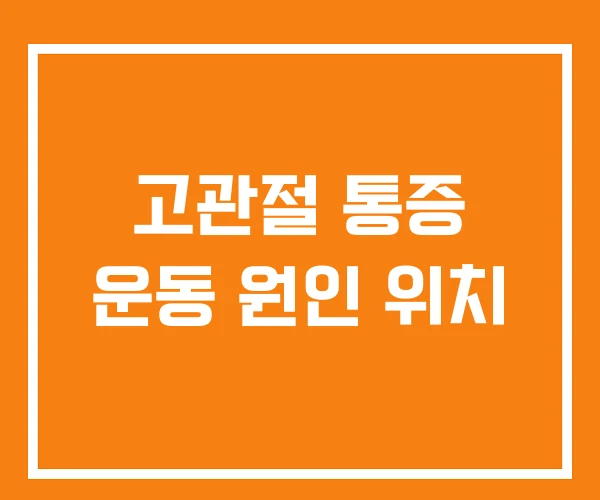 고관절 통증 운동 원인 위치 고관절 통증 운동 원인 위치