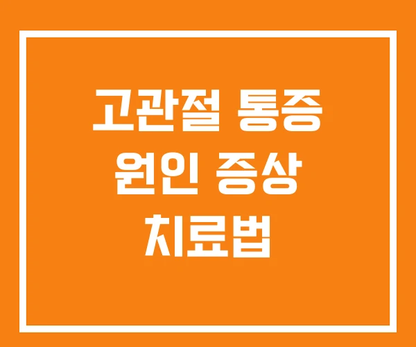 고관절 통증 원인 증상 치료법 고관절 통증 원인 증상 치료법