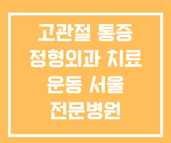 고관절 통증 정형외과 치료 운동 서울 전문병원 고관절 통증 정형외과 치료 운동 서울 전문병원